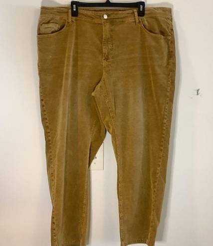 Pilcro  Tan Corduroy Slim Boyfriend Crop Pants - Size 22W