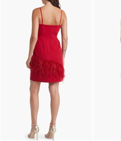 Sam Edelman Feather hem sheath Red Wine Dress NWT $158 Valentines Lady in red 6