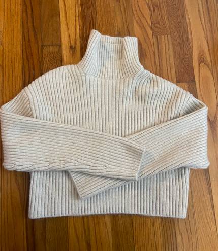 H&M Turtleneck Sweater