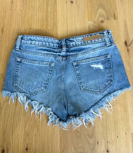 Cello Denim Shorts