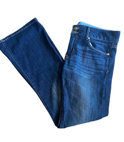 Gap 1969 Perfect Bootcut Women’s Jeans Size 30/10
