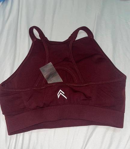 Oner Active Burgundy High Neck Sport Bra