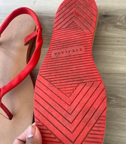 Everlane  9 Red Strappy Sandals