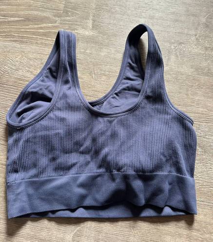 Aerie Navy Blue Sports Bra