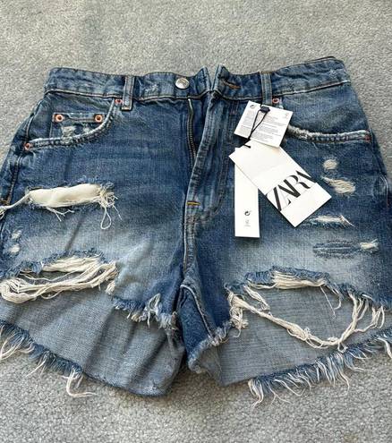 ZARA Denim Shorts