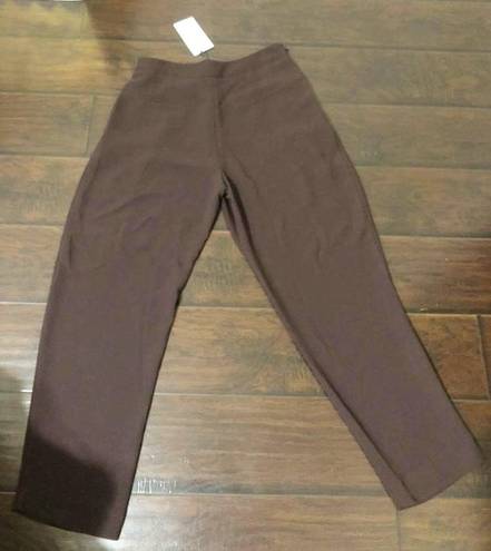 ZARA NWT  Brown Pants