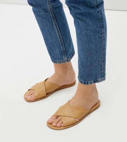 Everlane  The Day Crossover Sandals in Light Taupe 9 New Womens Slides Flats