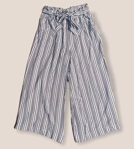 American Eagle Striped Wide Leg Paperbag Pants