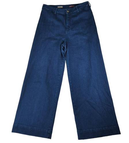 Pilcro  The Skipper Wide Leg Jeans Women's Size 32 Dark Wash High Rise Stretch