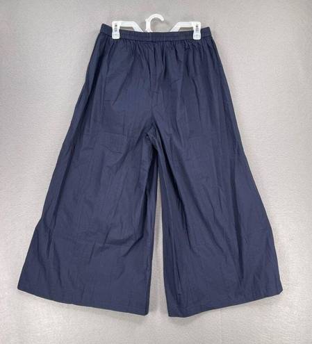 Krass&co Creative  Op Wide Leg Pants Womens XL Blue Patti Pleated Pull On Ankle Casual