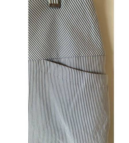 Krass&co SC &  Skort size medium blue and white pin stripes