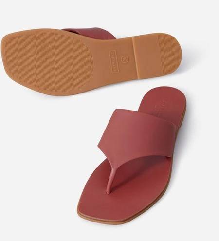 Everlane  The Leather Thong Sandal