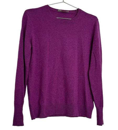 Everlane  Crewneck The Cashmere Blend Purple Sweater