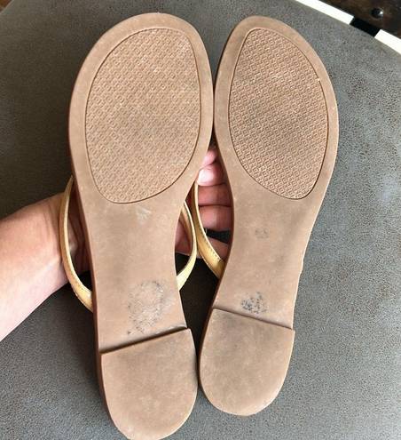 Tory Burch  Sandal Slides Size 7.5