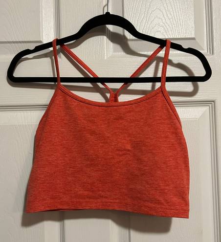 Aerie Sports Bra