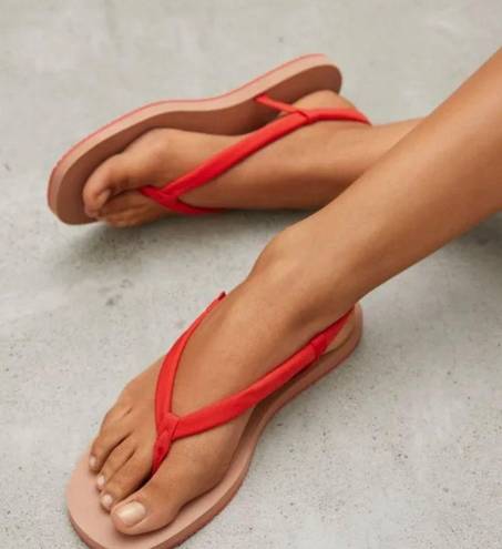 Everlane NWT Red Strappy Sandals