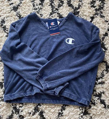 Champion Sweater