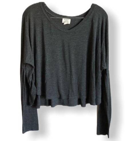 Project Social T  Gray Cropped Top