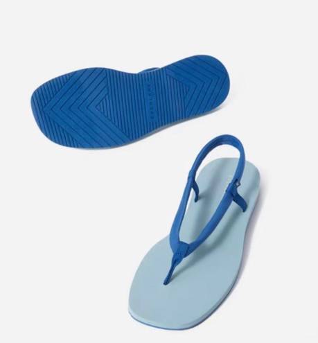 Everlane NWT Blue Strappy Sandal