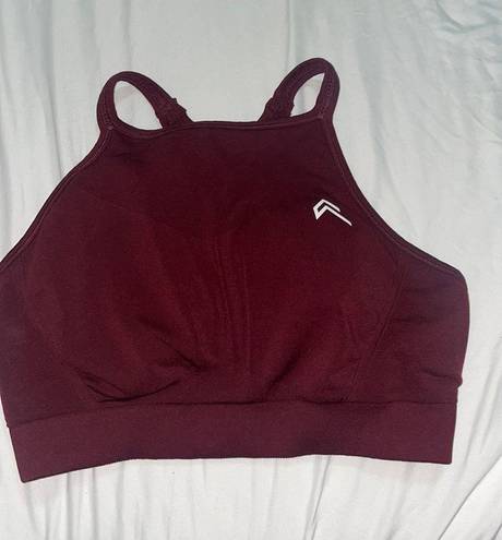 Oner Active Burgundy High Neck Sport Bra