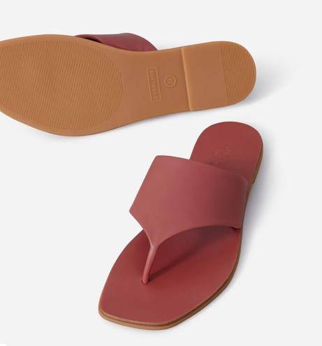 Everlane  The Leather Thong Sandal