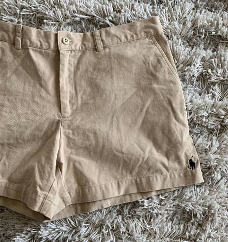 Polo Tan Earth Tones  Ralph Lauren Preppy Shorts