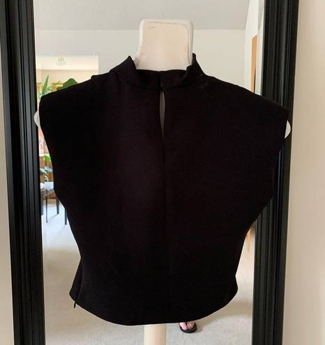 ZARA  Black Crop Top