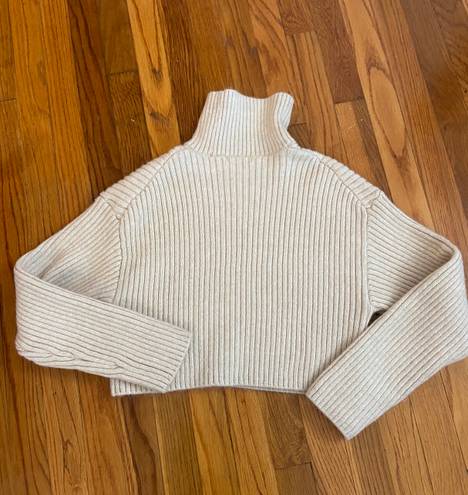 H&M Turtleneck Sweater