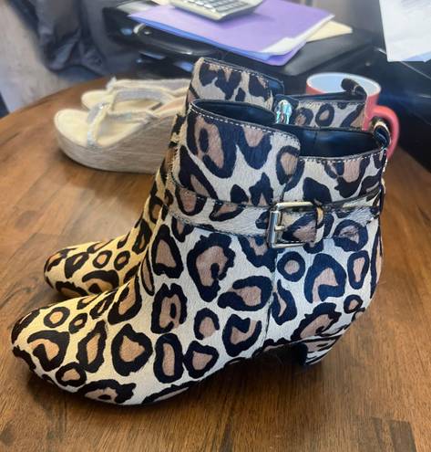 Sam Edelman Cheetah Print Booties