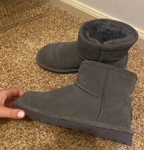 Bear Paw Mini Ugg Booties