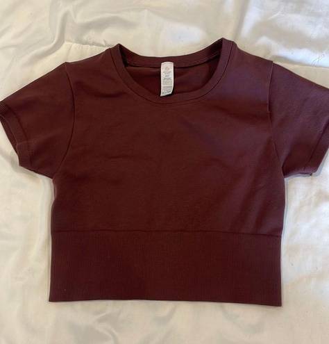 Aerie Offline Brown Cropped Top