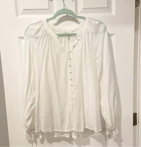 Garnet Hill Swiss Dot Poet blouse size Small