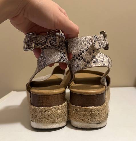 Soda Snakeskin Platform Heels