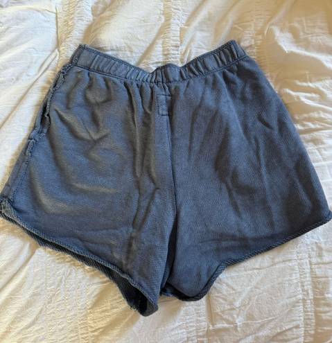 Aerie Navy Sweatshorts