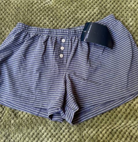 Brandy Melville Blue White Striped shorts