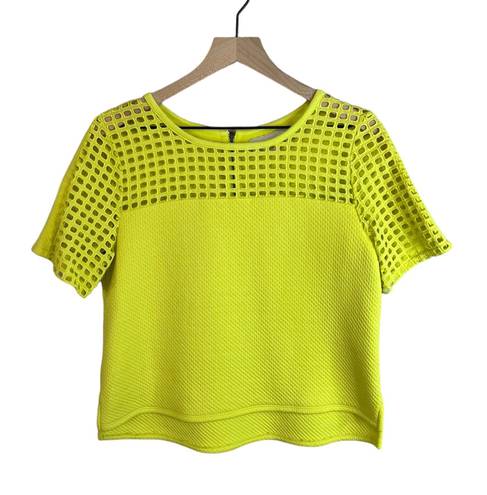 Loft Neon Geo Eyelet Boxy Cropped Top