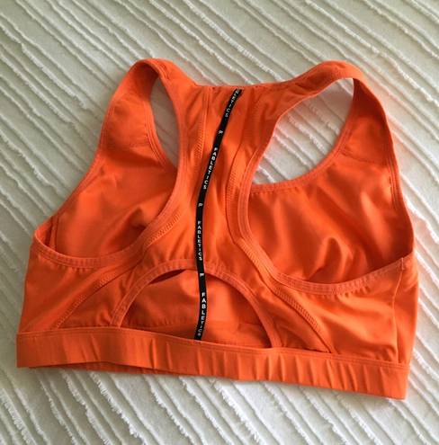 Fabletics Sports Bra