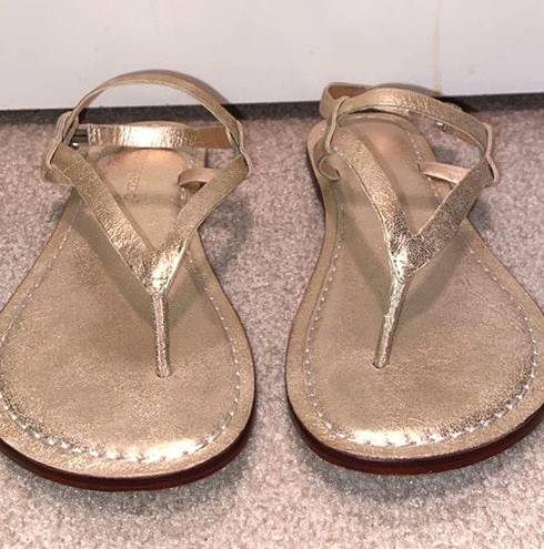 Bernardo Metallic Gold Sandals 