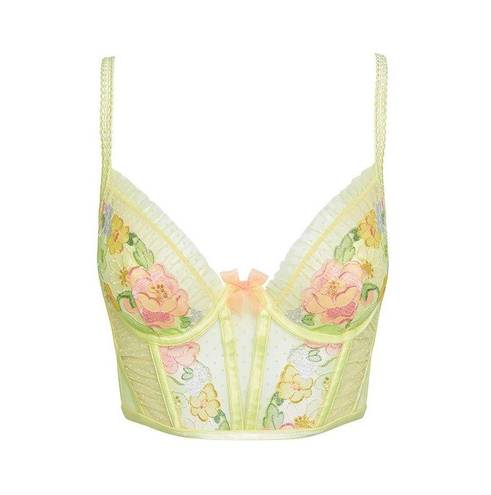 For Love & Lemons Luella Bustier