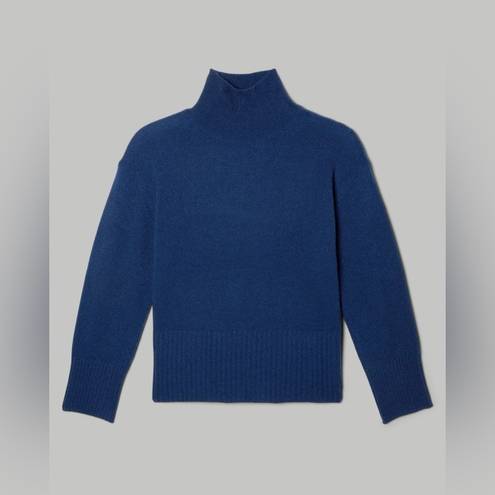 Everlane NWT  The Cashmere Oversized Turtleneck