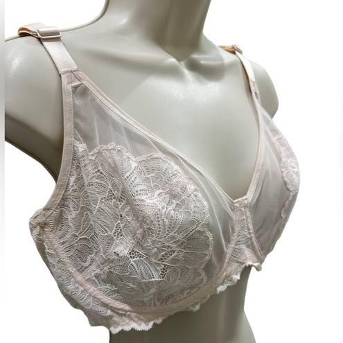 Blossom HSIA  Unlined Lace Underwire Bra