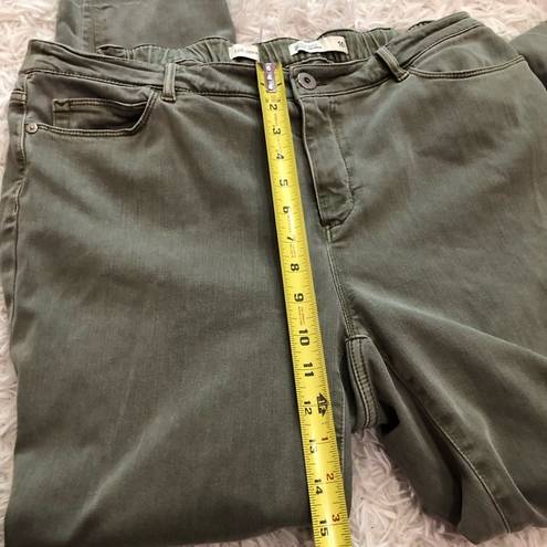J.Jill  Denim Straight Leg Boyfriend Jeans Olive Military Green Size 16
