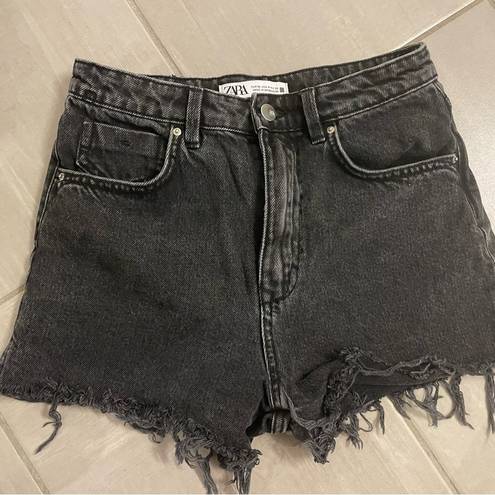 ZARA Cutoff Shorts Bundle