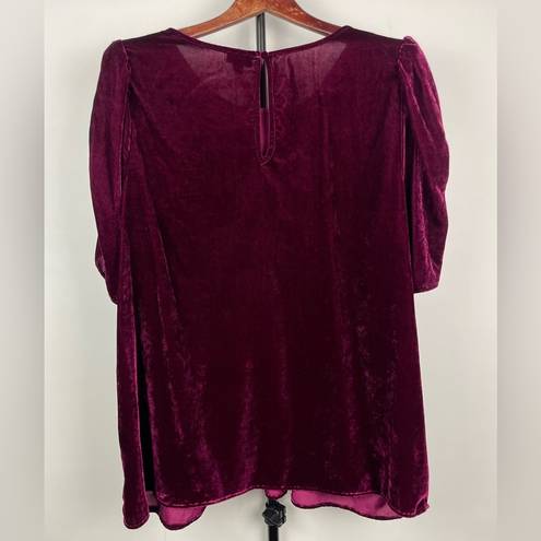 Torrid  Wine Red Crushed Velvet Ruched Caterpillar Short Sleeve Blouse Top