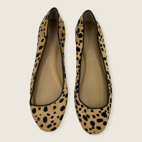 Ann Taylor Cheetah Animal Calf Hair Leather Ballet Flats 7.5