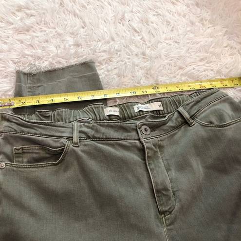 J.Jill  Denim Straight Leg Boyfriend Jeans Olive Military Green Size 16