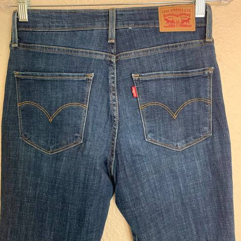 Levi Strauss & CO. Levi's 721 High Rise Skinny Jeans Size 28