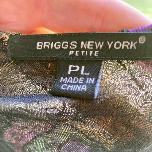 Briggs New York Women's  Petite Large Multi-color Top, Excellent