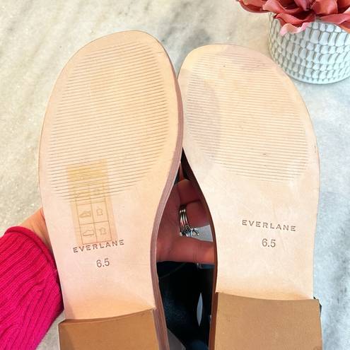 Everlane EUC  The Twin Buckle Sandal