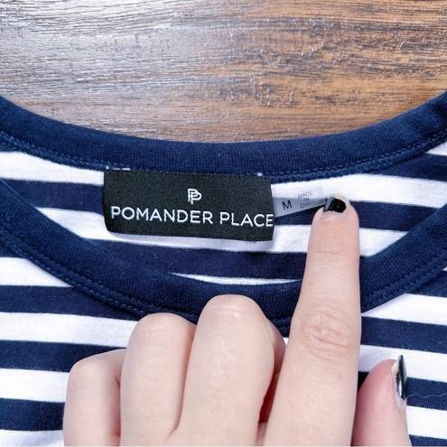 Tuckernuck  Pomander Place • Perrie Top navy striped swing ruffle peplum tee